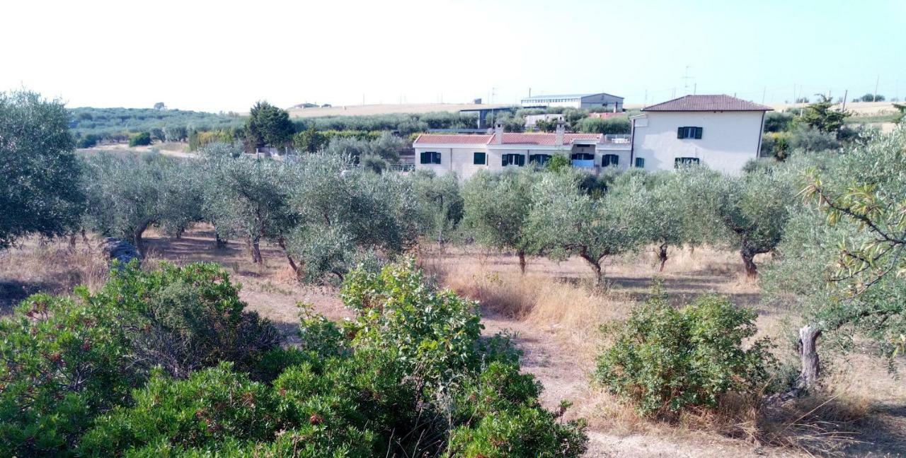 Dimore All'Ofra Matera Eksteriør bilde